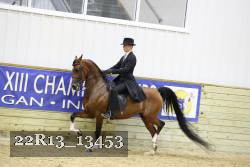 22R13_13453 thumbnail