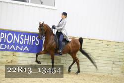 22R13_13454 thumbnail