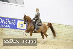22R13_13455 thumbnail