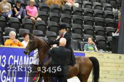 22R13_13456 thumbnail