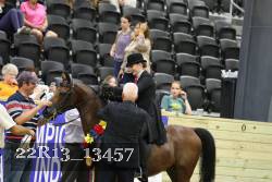 22R13_13457 thumbnail