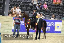 22R13_13458 thumbnail