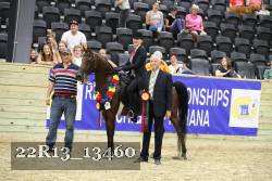 22R13_13460 thumbnail