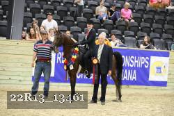22R13_13461 thumbnail
