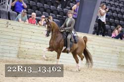 22R13_13462 thumbnail