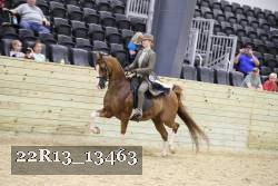 22R13_13463 thumbnail