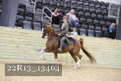 22R13_13464 thumbnail