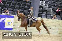 22R13_13465 thumbnail