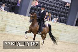 22R13_13467 thumbnail