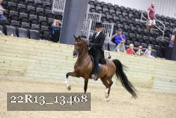 22R13_13468 thumbnail