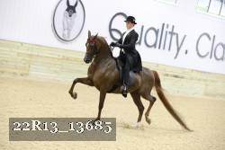 22R13_13685 thumbnail