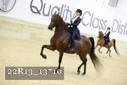 22R13_13710 thumbnail
