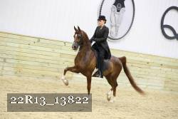22R13_13822 thumbnail