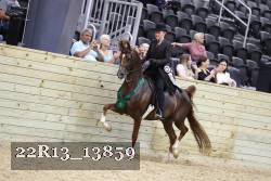 22R13_13859 thumbnail