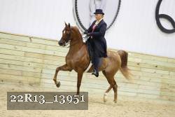 22R13_13951 thumbnail
