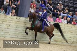 22R13_13978 thumbnail