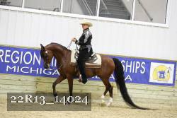 22R13_14024 thumbnail