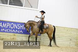 22R13_14033 thumbnail