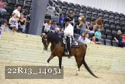 22R13_14051 thumbnail