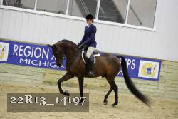22R13_14197 thumbnail