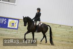 22R13_14210 thumbnail