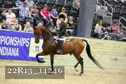 22R13_14246 thumbnail