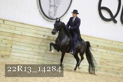22R13_14284 thumbnail