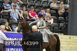 22R13_14390 thumbnail