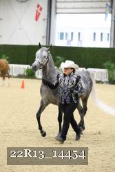 22R13_14454 thumbnail