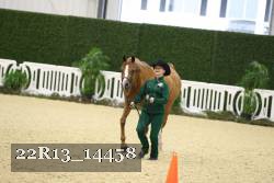 22R13_14458 thumbnail