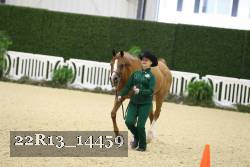 22R13_14459 thumbnail