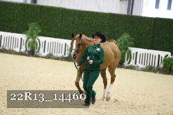 22R13_14460 thumbnail