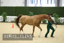 22R13_14465 thumbnail