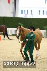 22R13_14468 thumbnail