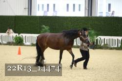 22R13_14474 thumbnail