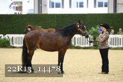 22R13_14478 thumbnail
