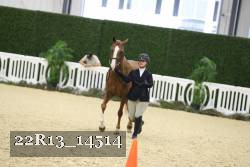 22R13_14514 thumbnail