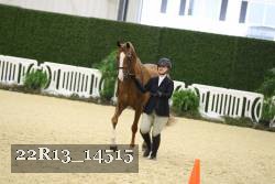 22R13_14515 thumbnail