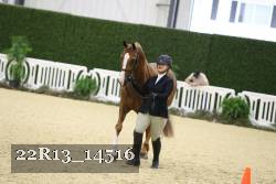 22R13_14516 thumbnail