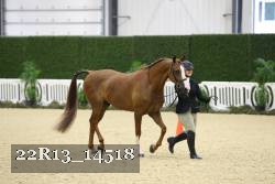 22R13_14518 thumbnail
