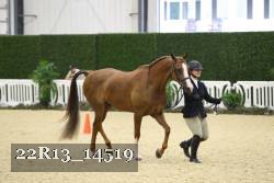 22R13_14519 thumbnail