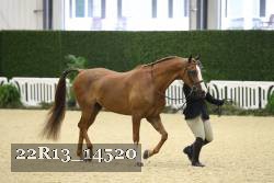 22R13_14520 thumbnail