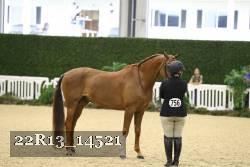 22R13_14521 thumbnail