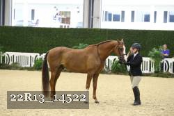22R13_14522 thumbnail