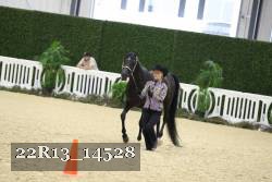 22R13_14528 thumbnail