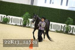 22R13_14529 thumbnail