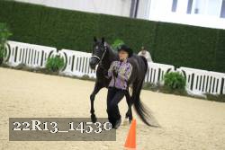 22R13_14530 thumbnail