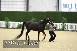 22R13_14532 thumbnail