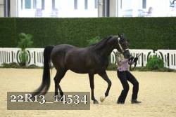 22R13_14534 thumbnail