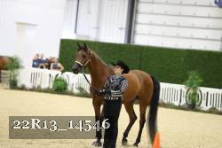 22R13_14546 thumbnail